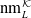 nm Subscript upper L Superscript script upper K