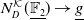 upper N Subscript upper D Superscript script upper K Baseline left parenthesis double struck upper F 2 underbar right parenthesis right arrow g underbar