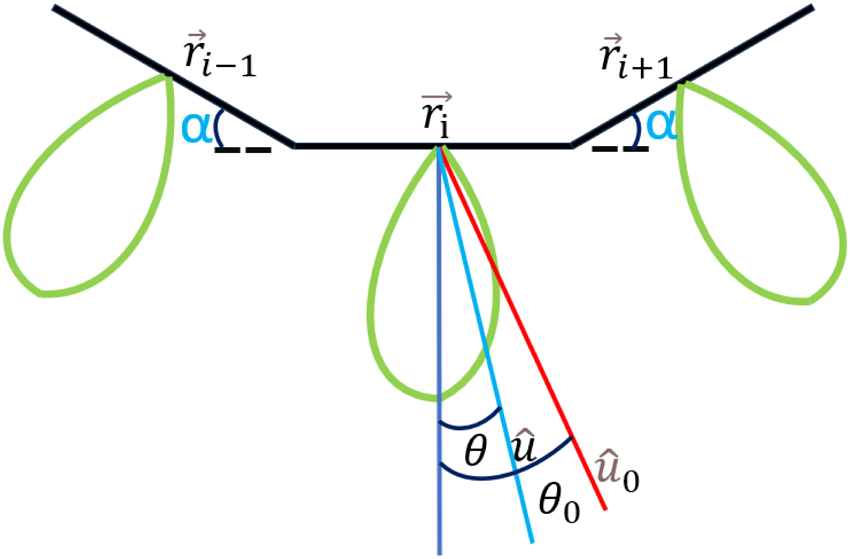 The diagram showing an antenna array with vectors and angles labeled.