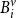 upper B Subscript i Superscript v