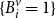 left brace upper B Subscript i Superscript v Baseline equals 1 right brace