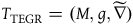 upper T Subscript normal upper T normal upper E normal upper G normal upper R Baseline equals left parenthesis upper M comma g comma ModifyingAbove nabla With tilde right parenthesis