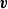 bold italic v