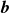 bold italic b