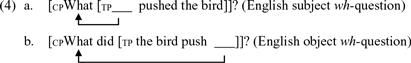 An equation with placeholders for subject and object wh-questions.