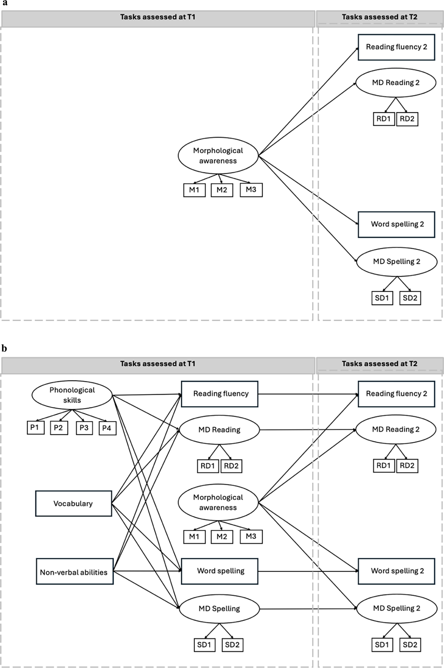 Diagram of the hypothesized model of cross-lagged influence of morphological awareness on reading and spelling.
