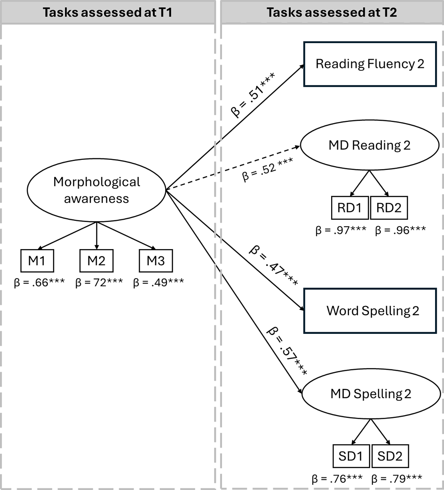 A diagram illustrating the predictive role of morphological awareness in reading and spelling acquisition.