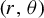 left parenthesis r comma theta right parenthesis