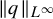 StartMetric q EndMetric Subscript upper L Sub Superscript infinity