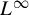 upper L Superscript infinity