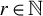 r element of double struck upper N
