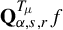 bold upper Q Subscript alpha comma s comma r Superscript upper T Super Subscript mu Baseline f
