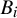 upper B Subscript i