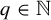 q element of double struck upper N