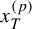 x Subscript upper T Superscript left parenthesis p right parenthesis