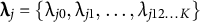 lamda Subscript j Baseline equals StartSet lamda Subscript j Baseline 0 Baseline comma lamda Subscript j Baseline 1 Baseline comma ellipsis comma lamda Subscript j Baseline 12 ellipsis upper K Baseline EndSet