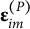 epsilon Subscript im Superscript left parenthesis upper P right parenthesis