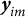 bold italic y Subscript im