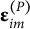 epsilon Subscript im Superscript left parenthesis upper P right parenthesis