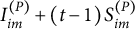 upper I Subscript im Superscript left parenthesis upper P right parenthesis Baseline plus left parenthesis t minus 1 right parenthesis upper S Subscript im Superscript left parenthesis upper P right parenthesis