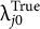 lamda Subscript j Baseline 0 Superscript upper T r u e