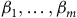 beta 1 comma ellipsis comma beta Subscript m Baseline