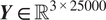 upper Y element of upper R 3 times 25000