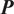 upper P