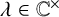 lamda element of double struck upper C Superscript times