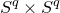 upper S Superscript q Baseline times upper S Superscript q