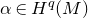 alpha element of upper H Superscript q Baseline left parenthesis upper M right parenthesis
