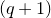left parenthesis q plus 1 right parenthesis