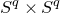 upper S Superscript q Baseline times upper S Superscript q