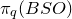 pi Subscript q Baseline left parenthesis upper B upper S upper O right parenthesis