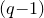 left parenthesis q minus 1 right parenthesis