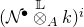 left parenthesis script upper N Superscript bullet Baseline circled times Overscript double struck upper L Endscripts Subscript upper A Baseline k right parenthesis Superscript i