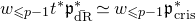w Subscript less than or slanted equals p minus 1 Baseline t Superscript asterisk Baseline German p Subscript ModifyingAbove normal d normal upper R With bar Superscript asterisk Baseline asymptotically equals w Subscript less than or slanted equals p minus 1 Baseline German p Subscript normal c normal r normal i normal s Superscript asterisk