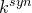 k Superscript s y n