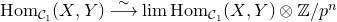 upper H o m Subscript script upper C 1 Baseline left parenthesis upper X comma upper Y right parenthesis ModifyingAbove long right arrow With tilde limit upper H o m Subscript script upper C 1 Baseline left parenthesis upper X comma upper Y right parenthesis circled times double struck upper Z divided by p Superscript n
