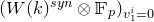left parenthesis upper W left parenthesis k right parenthesis Superscript s y n Baseline circled times double struck upper F Subscript p Baseline right parenthesis Subscript v 1 Sub Superscript i Subscript equals 0