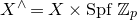 upper X Superscript and Baseline equals upper X times upper S p f double struck upper Z Subscript p