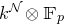 k Superscript script upper N Baseline circled times double struck upper F Subscript p
