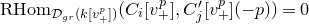 normal upper R normal upper H normal o normal m Subscript script upper D Sub Subscript g r Subscript left parenthesis k left bracket v Sub Subscript plus Sub Superscript p Subscript right bracket right parenthesis Baseline left parenthesis upper C Subscript i Baseline left bracket v Subscript plus Superscript p Baseline right bracket comma upper C prime Subscript j Baseline left bracket v Subscript plus Superscript p Baseline right bracket left parenthesis negative p right parenthesis right parenthesis equals 0