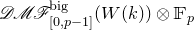 script upper D script upper M script upper F Subscript left bracket 0 comma p minus 1 right bracket Superscript normal b normal i normal g Baseline left parenthesis upper W left parenthesis k right parenthesis right parenthesis circled times double struck upper F Subscript p