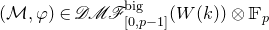 left parenthesis script upper M comma phi right parenthesis element of script upper D script upper M script upper F Subscript left bracket 0 comma p minus 1 right bracket Superscript normal b normal i normal g Baseline left parenthesis upper W left parenthesis k right parenthesis right parenthesis circled times double struck upper F Subscript p