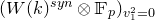 left parenthesis upper W left parenthesis k right parenthesis Superscript s y n Baseline circled times double struck upper F Subscript p Baseline right parenthesis Subscript v 1 squared equals 0