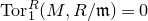 Tor Subscript 1 Superscript upper R Baseline left parenthesis upper M comma upper R divided by German m right parenthesis equals 0
