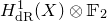 upper H Subscript normal d normal upper R Superscript 1 Baseline left parenthesis upper X right parenthesis circled times double struck upper F 2