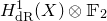 upper H Subscript normal d normal upper R Superscript 1 Baseline left parenthesis upper X right parenthesis circled times double struck upper F 2