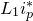 upper L 1 i Subscript p Superscript asterisk
